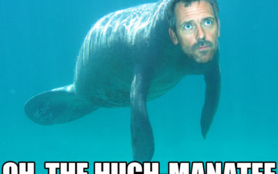 Seven Co-operative Reflections from Bologna, Italy