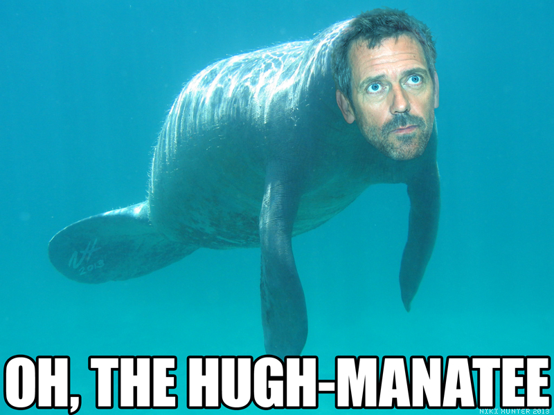 Seven Co-operative Reflections from Bologna, Italy